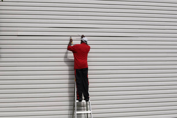 Best Fiber Cement Siding Installation  in New Bern, NC