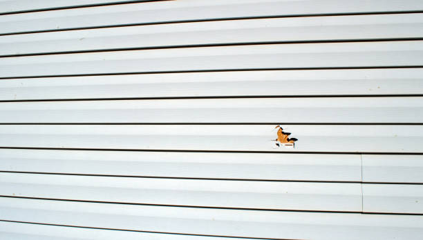 Best Aluminum Siding Installation  in New Bern, NC